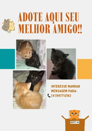 Adote