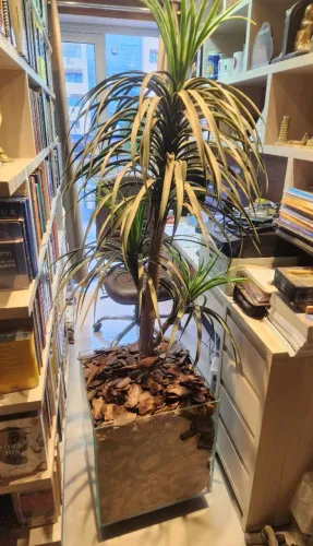 Planta artificial com cachepot de vidro