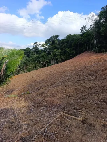 Terreno 5.000m² em holandinha