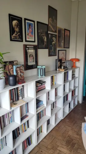 Estantes elegantes Livros Nicho