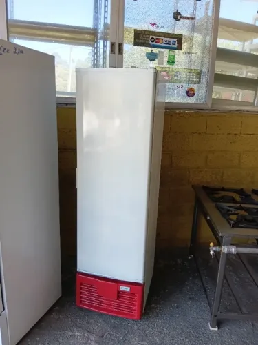 Freezer Vertical Usado - Semi novo 110V