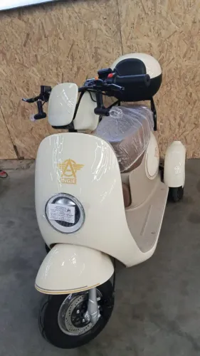 Moto elétrica (triciclo)