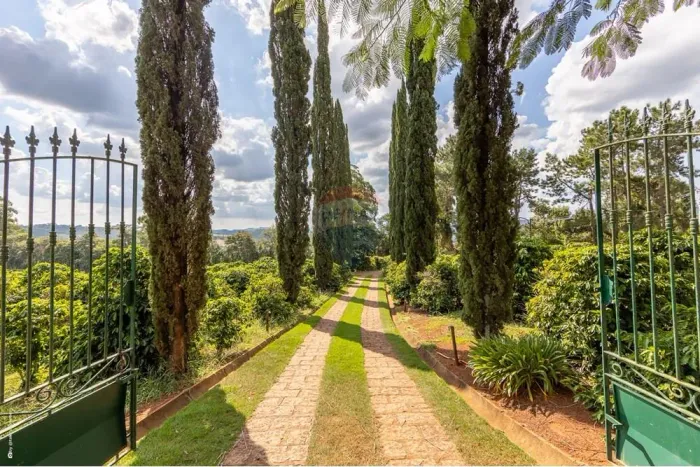 Sitio com 10.000 pés de café a venda - 4,9Ha, Morungaba/SP