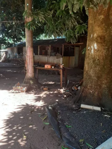 Vende ou troca por casa uma chacara 3 hectare em jaraguari