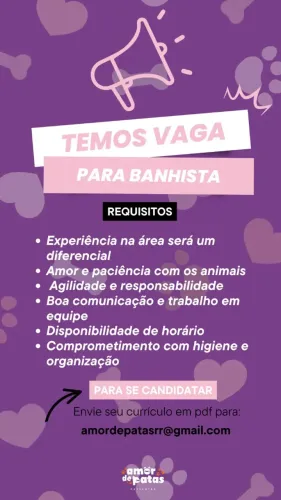 Banhista com experiência 