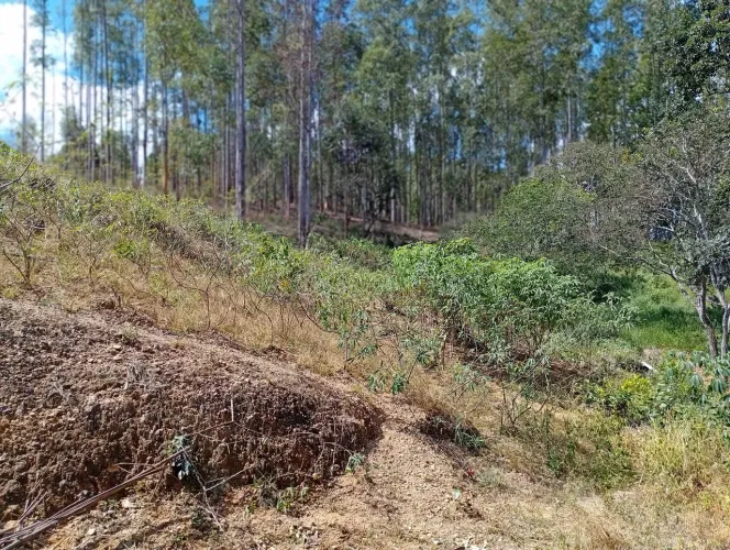 Rancho no Rio quebra anzol