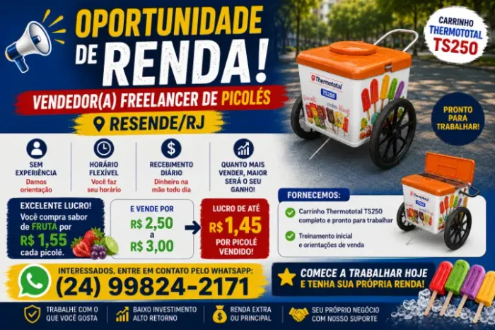 VENDEDOR(A) FREELANCER DE PICOLÉS