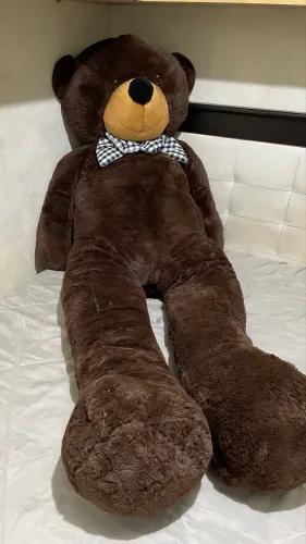 Urso 2 m
