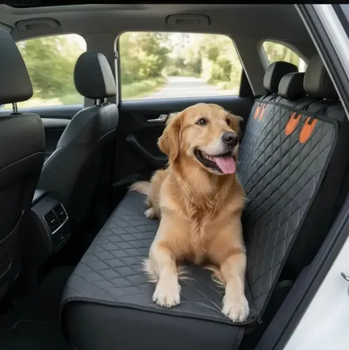 Transporte de Pet