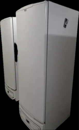 Freezer vertical