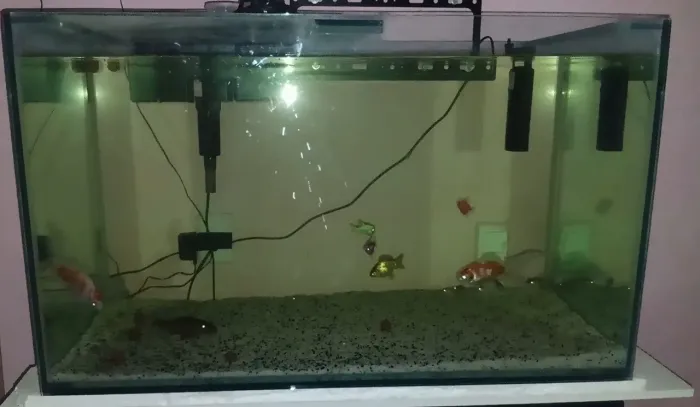 Aquario de 300 litros