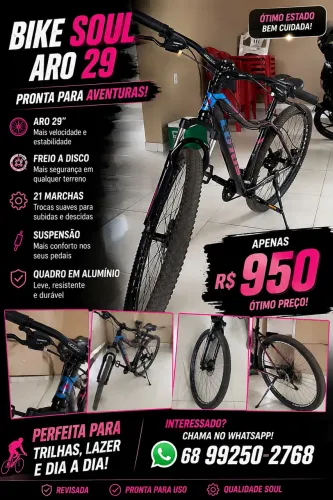 Bicicleta lótus soul aro 29