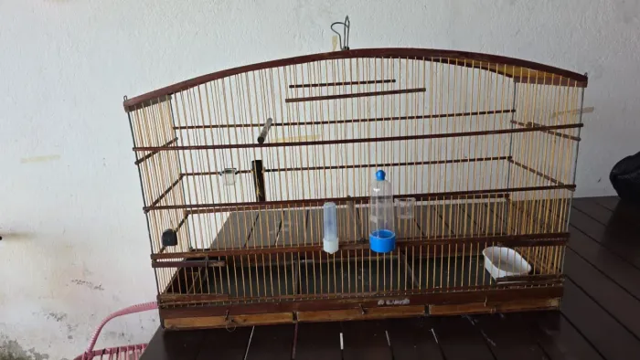 Gaiola
