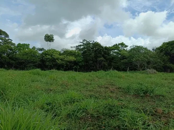 Chácara exclusiva em Satuba - 8 mil m² em Satuba - ideal para moradia ou condomínio