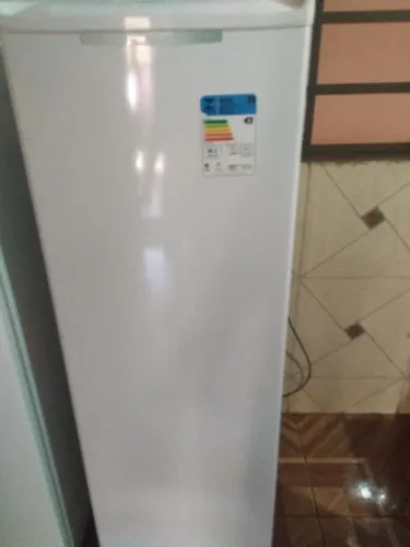 Freezer vertical