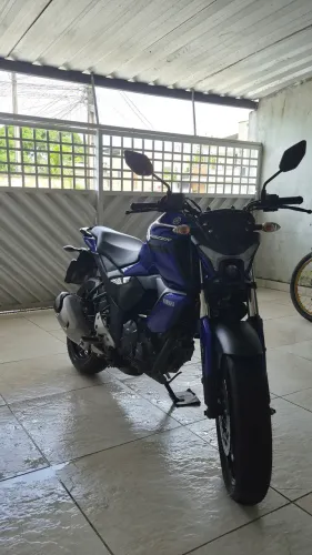FZ 15 2024 