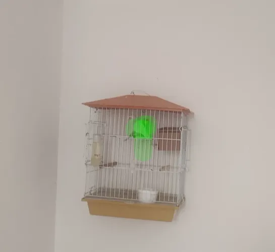 Gaiolas