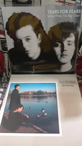 LP TEARS FOR FEARS - 2 POR 350