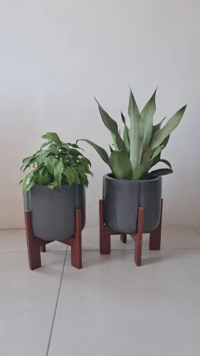 Vaso com planta R$50 cada