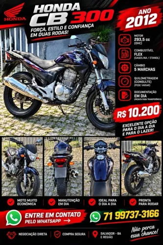 Honda CB 300r/ 300r Flex 2012