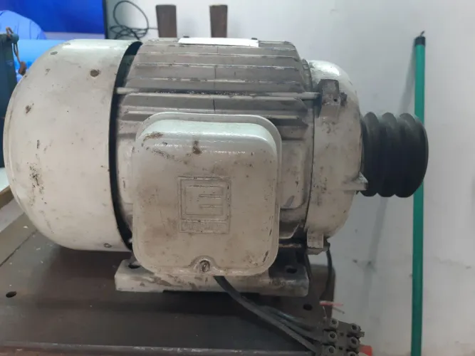 Motor de inducao trifásico s100
