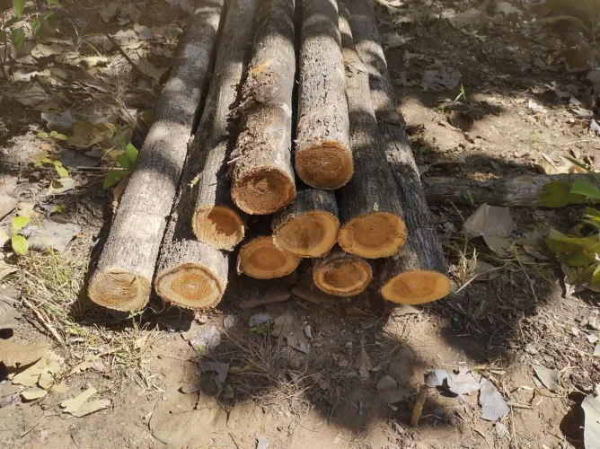 ESTACAS DE MADEIRA TECA