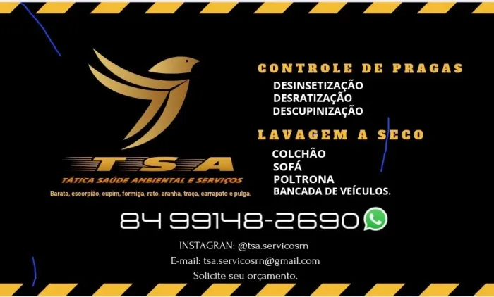 Dedetização profissional