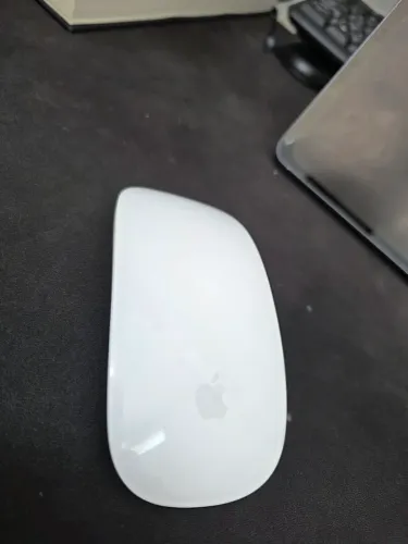 Magic mouse 2