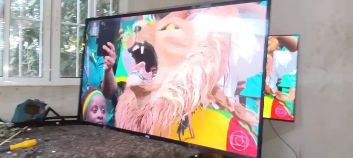 Tv televisão