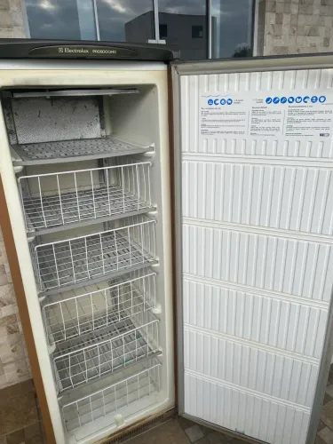 Freezer vertical