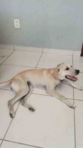 Doação 