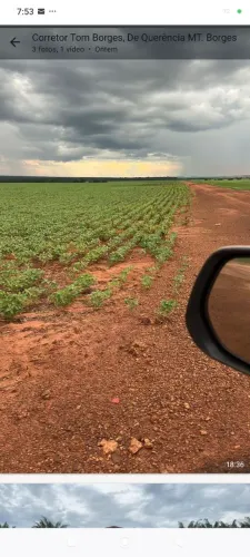 Fazenda de arrendamento soja, 3.000 hec plantando 8 anos em São José do xingú MT.