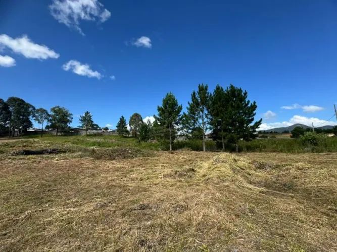TERRENO CONDOMÍNIO QUATRO BARRAS - PR