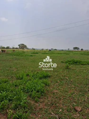 Sítio à venda com 4 alqueires (193600m²) por R$ 850.000 - Uberlândia sentido Prata - Uberl