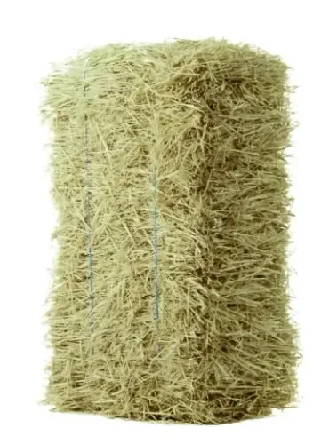 Capim Feno Fardo 15kg Resistente a Seca Vaca Cavalo Cabrito