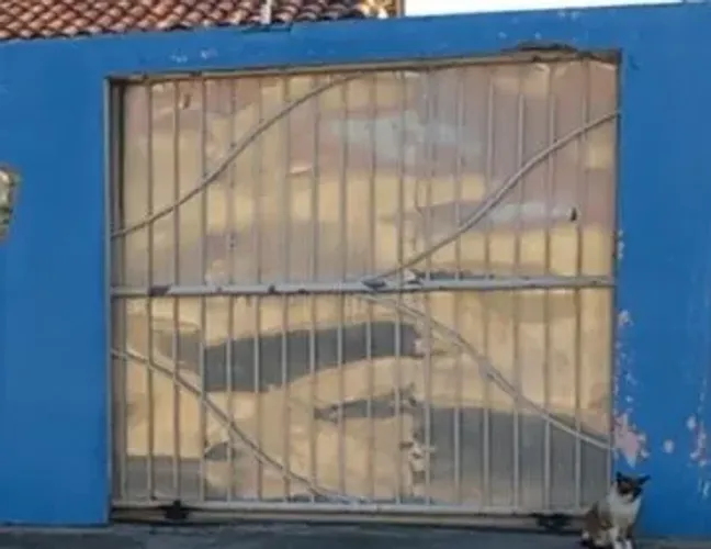 Portao de ferro galvanizado de garagem e social