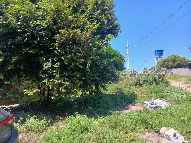 Terreno 8×19