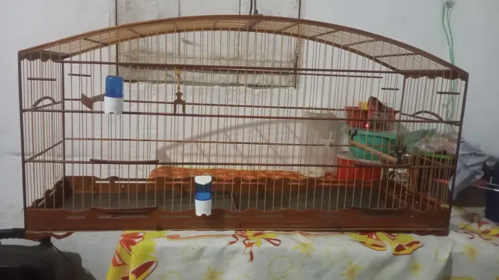 Voador malha de trinca