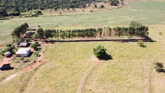 Chácara 9 hectares a 1,5 km da cidade de Bandeirantes - MS!