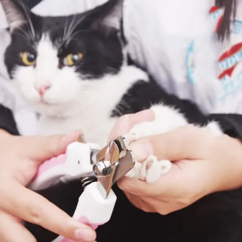 Alicate Tesoura Cortador de Unha de Gato, Cachorro - Cortador de Unha de Cães
