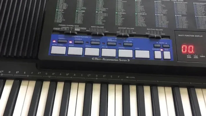 Teclado Casio CT-670 impecável