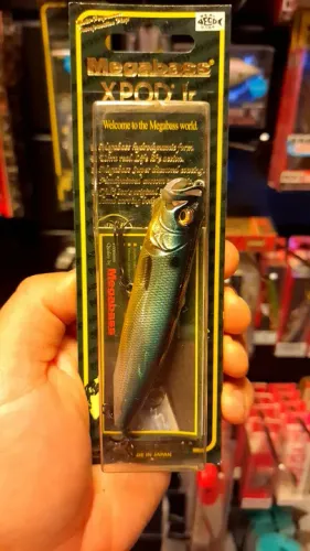Isca MEGABASS - X-Pod Jr.