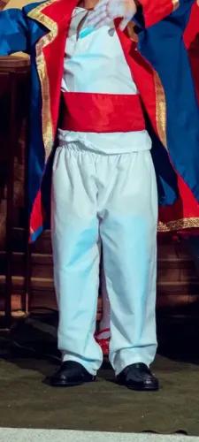 Fantasia Infantil de Príncipe