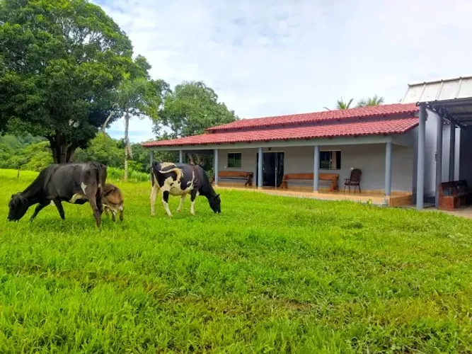 FAZENDA À VENDA - 32 ALQUEIRES - NIQUELÂNDIA/GO - REGIÃO DO MUQUEM