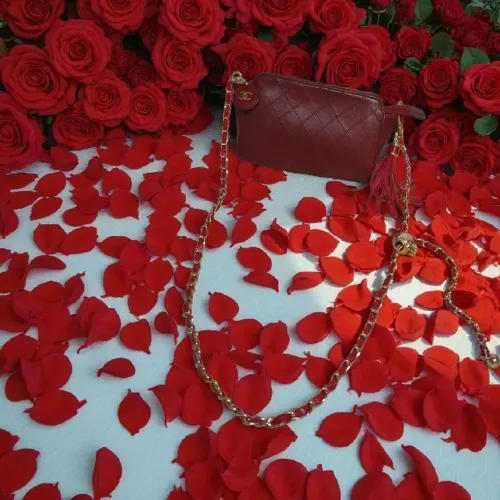 Bolsa Chanel Vermelha 