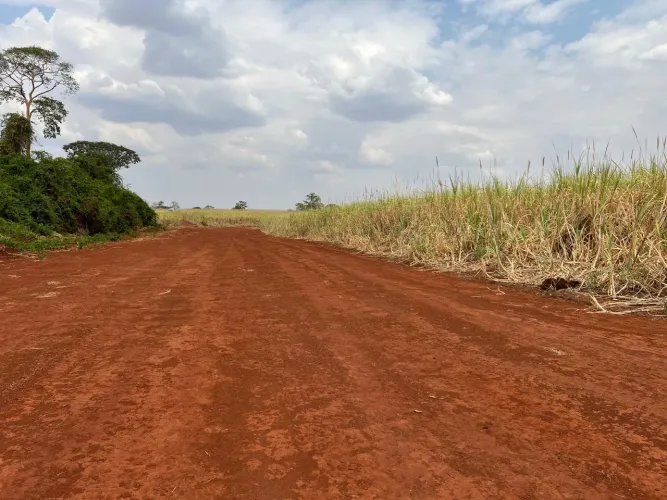 Fazenda de 19.5 alqueires 55 km de Goiânia-GO