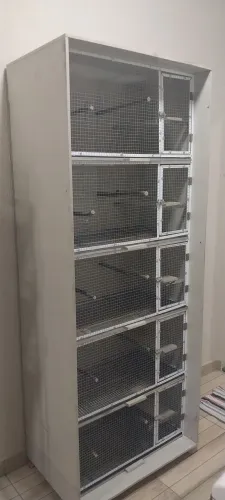 Viveiro com cinco andares para calopsita, periquito e AGAPORNES.