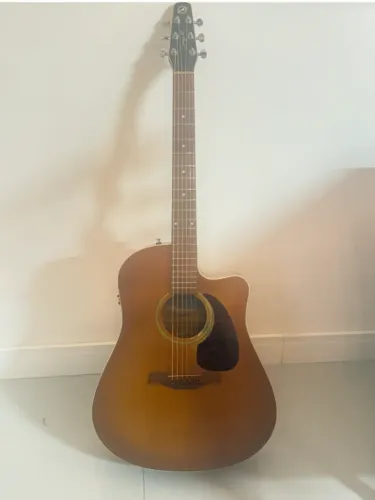 Violão Elétrico Acústico Godin Seagull Entourage Rustic Cw Q1