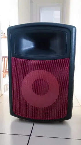 Caixa de som profissional (com USB)