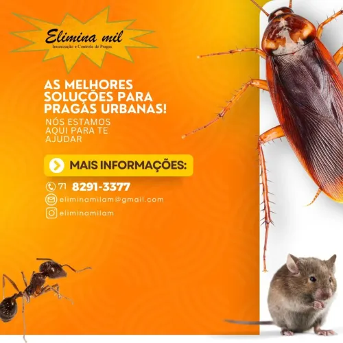 Detetização apartir de 200,00 reais com alvará e certificado de garantia